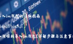 导入im钱包的详细指南bi