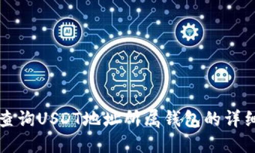 如何查询USDT地址所属钱包的详细指南