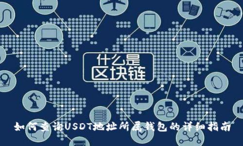 如何查询USDT地址所属钱包的详细指南