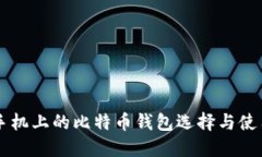 苹果手机上的比特币钱包