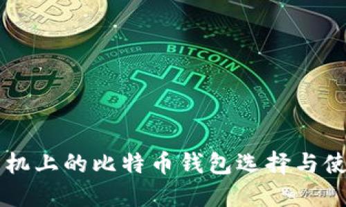 苹果手机上的比特币钱包选择与使用指南