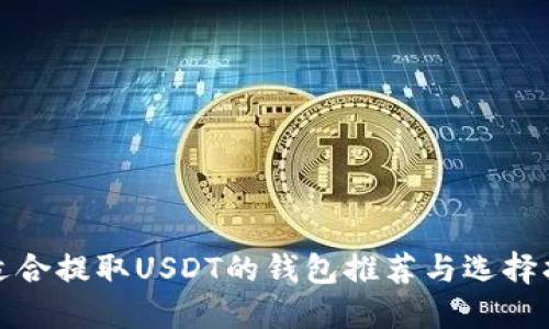 最适合提取USDT的钱包推荐与选择指南