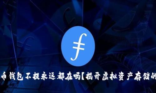 比特币钱包不提永远都在吗？揭开虚拟资产存储的真相