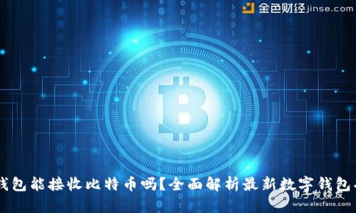 IM钱包能接收比特币吗？全面解析最新数字钱包功能