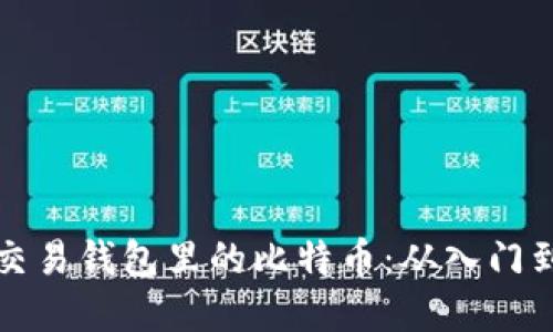 如何高效交易钱包里的比特币：从入门到实操指南