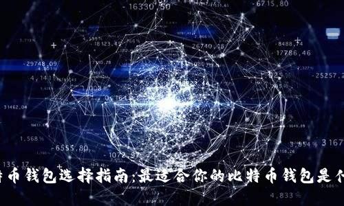 比特币钱包选择指南：最适合你的比特币钱包是什么？