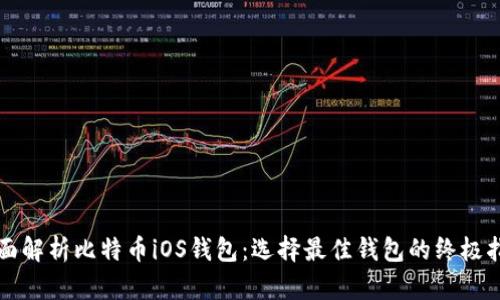 全面解析比特币iOS钱包：选择最佳钱包的终极指南