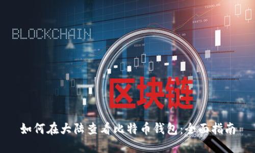如何在大陆查看比特币钱包：全面指南