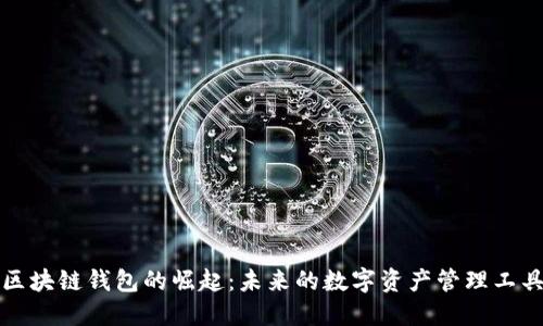 区块链钱包的崛起：未来的数字资产管理工具