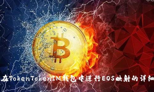 如何在TokenTokenIM钱包中进行EOS映射的详细指南