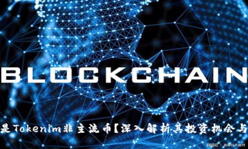 什么是Tokenim非主流币？深入解析其投资机会与风险