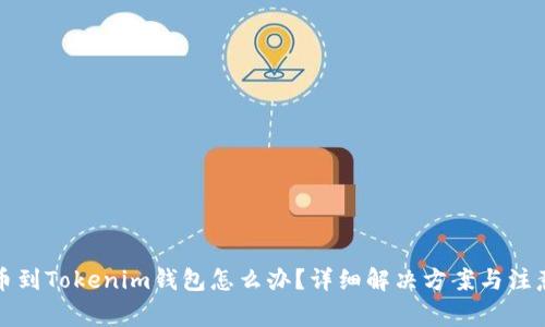 提错币到Tokenim钱包怎么办？详细解决方案与注意事项