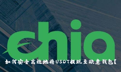 如何安全高效地将USDT提现至欧意钱包？