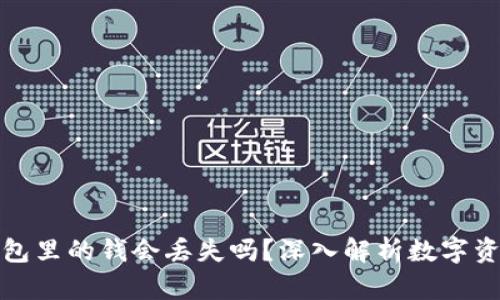 比特币钱包里的钱会丢失吗？深入解析数字资产安全性
