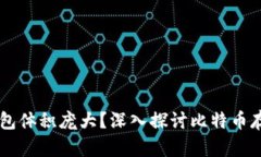 为什么比特币钱包体积庞