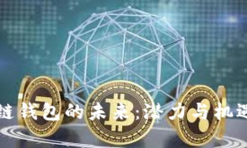 区块链钱包的未来：潜力与机遇并存