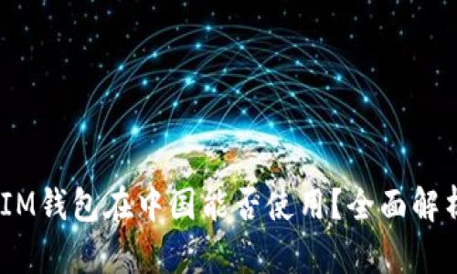 TokenTokenIM钱包在中国能否使用？全面解析与使用指南
