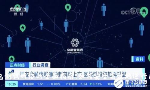 以太坊钱包测试网络的全面指南：如何安全高效地进行区块链开发