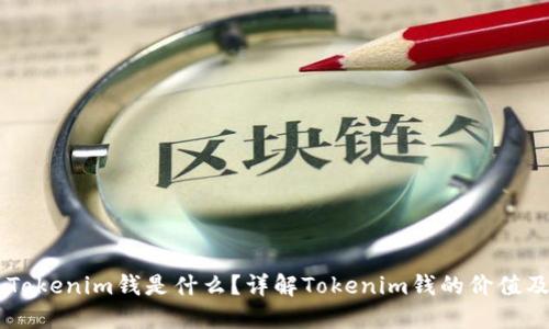 南昌Tokenim钱是什么？详解Tokenim钱的价值及应用