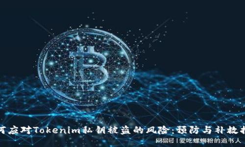 如何应对Tokenim私钥被盗的风险：预防与补救措施