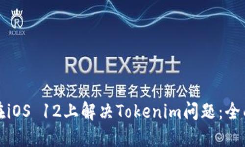 如何在iOS 12上解决Tokenim问题：全面指南