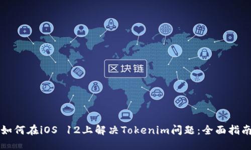 如何在iOS 12上解决Tokenim问题：全面指南