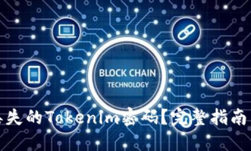 如何找回丢失的Tokenim密码？完整指南与解决方案