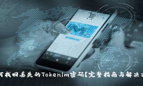 如何找回丢失的Tokenim密码？完整指南与解决方案