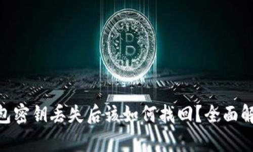 Tokenim钱包密钥丢失后该如何找回？全面解决方案解析
