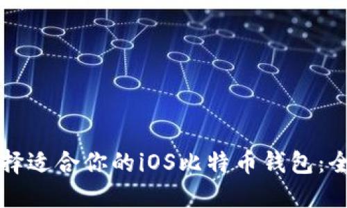 如何选择适合你的iOS比特币钱包：全面指南
