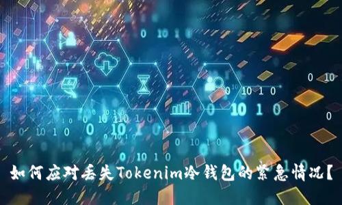 如何应对丢失Tokenim冷钱包的紧急情况？