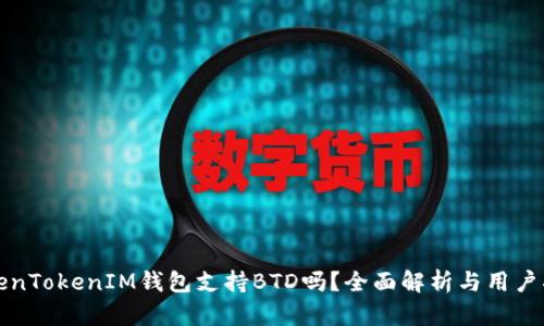TokenTokenIM钱包支持BTD吗？全面解析与用户指南