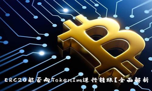 ERC20能否向TokenIm进行转账？全面解析