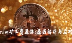 Tokenim矿工费暴涨：原因解