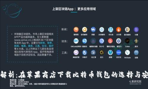 全面解析：在苹果商店下载比特币钱包的选择与安全性