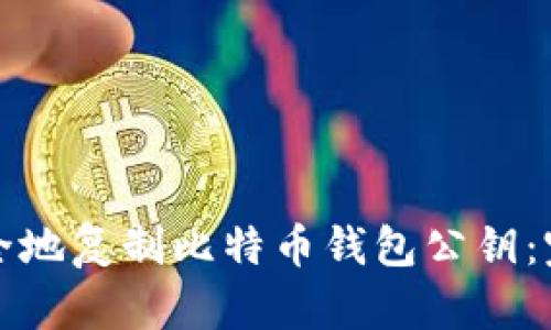 如何安全地复制比特币钱包公钥：完整指南