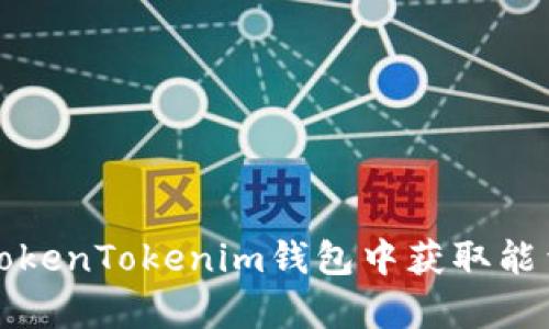 如何在TokenTokenim钱包中获取能量和宽带
