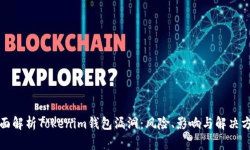 全面解析Tokenim钱包漏洞：风险、影响与解决方案