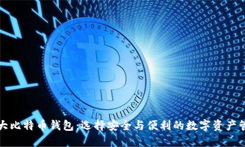 全球最大比特币钱包：选择安全与便利的数字资产管理方案