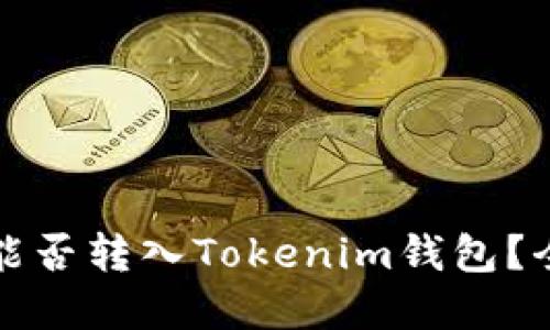 世界币能否转入Tokenim钱包？全面解读