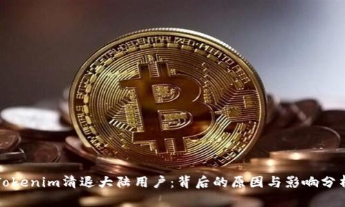 Tokenim清退大陆用户：背后的原因与影响分析