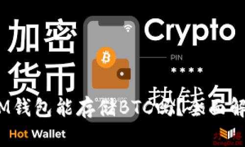 TokenTokenIM钱包能存储BTC吗？全面解析与使用指南