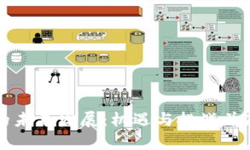 区块链钱包的未来发展：机遇与挑战并存的创新之路