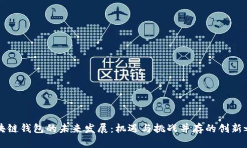 区块链钱包的未来发展：机遇与挑战并存的创新之路