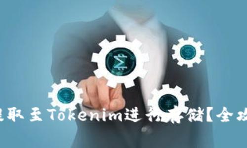 如何将FIL币提取至Tokenim进行存储？全攻略和注意事项