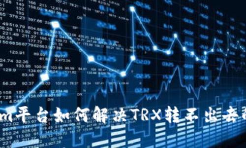 Tokenim平台如何解决TRX转不出去的问题？