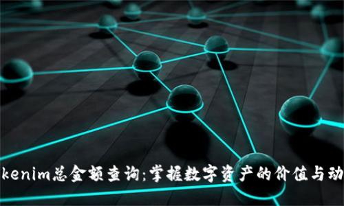 Tokenim总金额查询：掌握数字资产的价值与动态