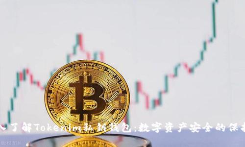深入了解Tokenim私钥钱包：数字资产安全的保护神