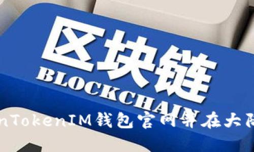 如何访问TokenTokenIM钱包官网并在大陆地区安全使用