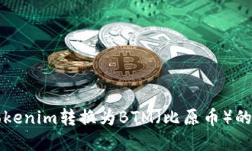 如何将Tokenim转换为BTM（比原币）的完整指南